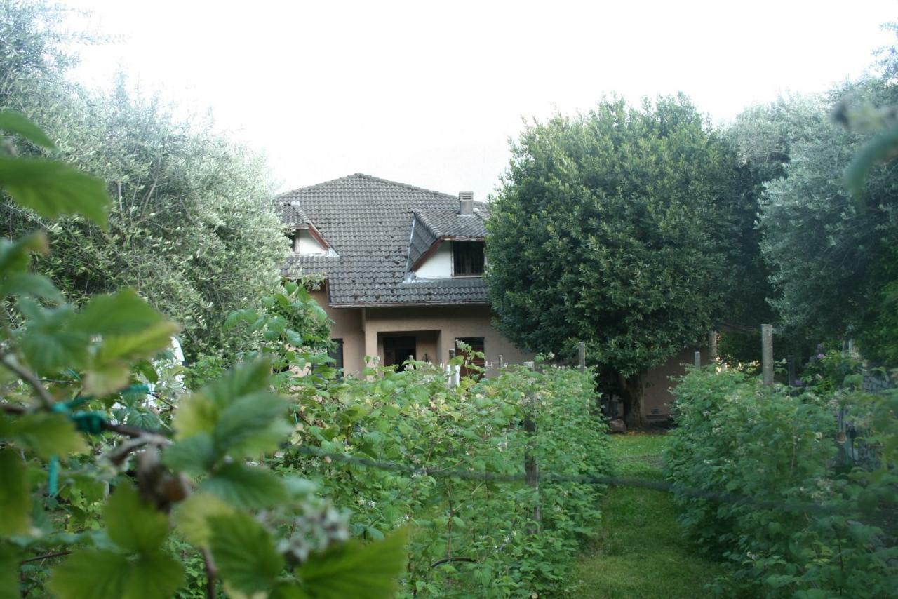 Agriturismo Badalone Domaso Exterior photo